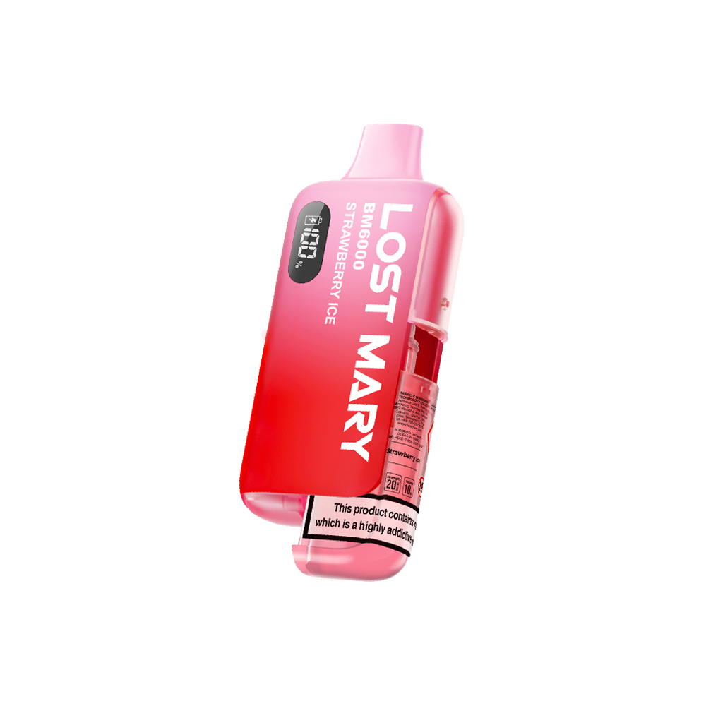Lost Mary BM6000 Prefilled Pod Kit